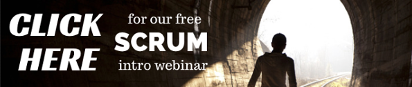 Scrum Intro webinar - The kingdom
